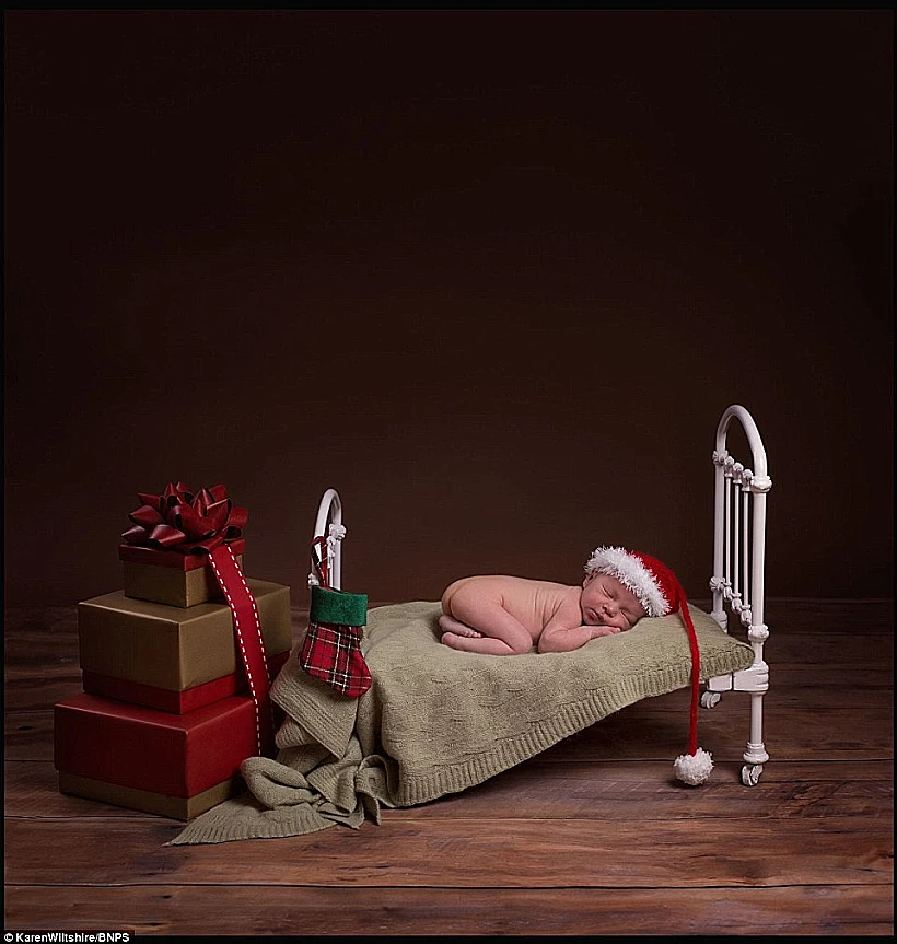 קתדרלת נוטרדאם