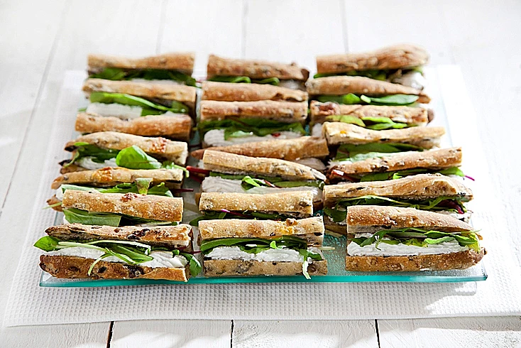 כריכון מקל זיתים