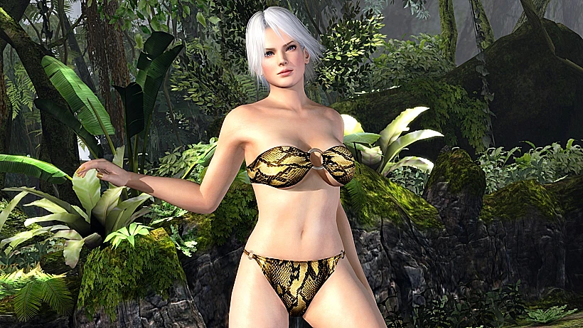 בנות מהמשחק בבגדי ים