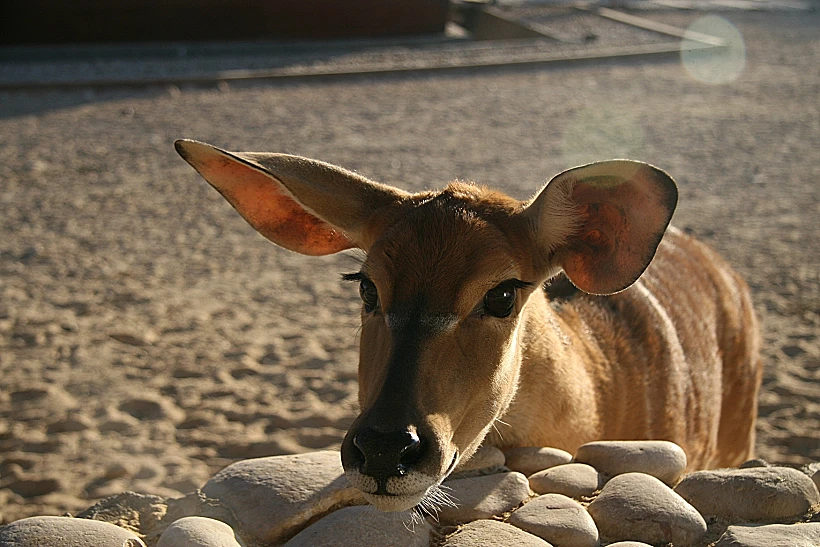 טיולים עם לינה
