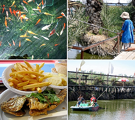 פארק הדייג מעיין צבי