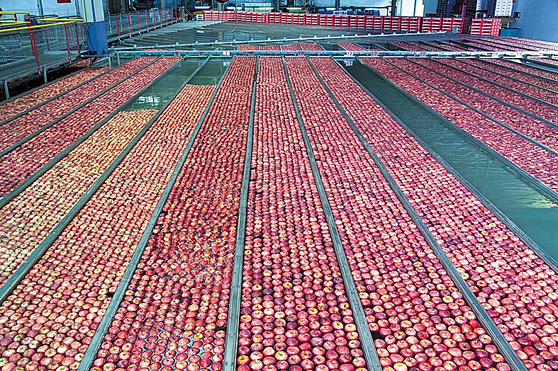 מרכז מבקרים