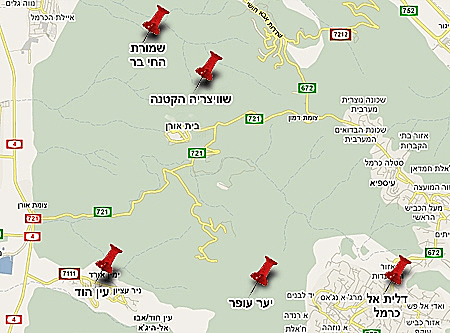 עבור כתבה ללייף סטייל