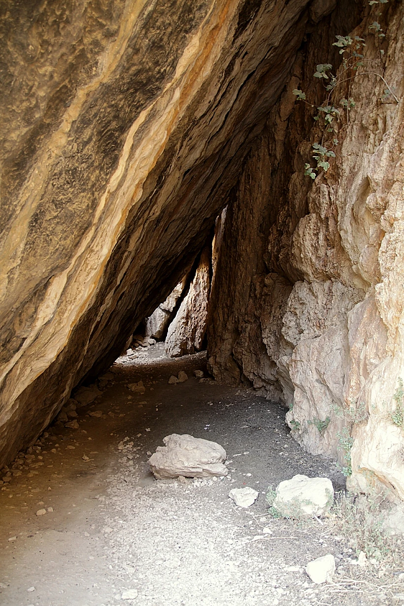 בשמורת הטבע 