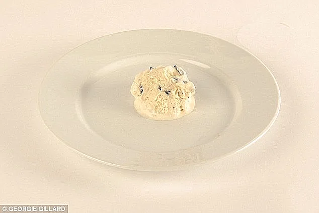 כדור גלידה בינוני עם פצפוצי שוקולד = 100 קלוריות(דיילי מייל)