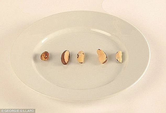 ארבעה אגוזי ברזיל = 100 קלוריות(דיילי מייל)