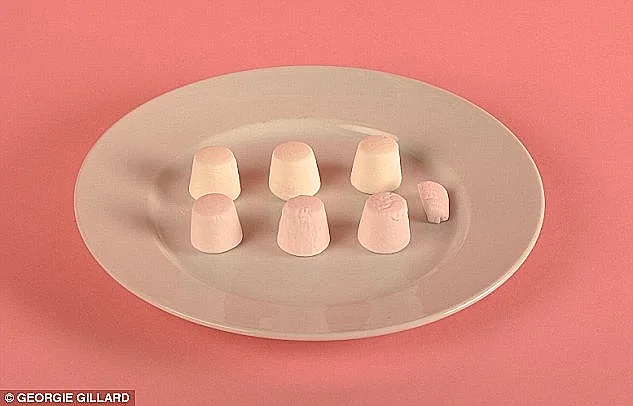 שישה מרשמלו ועוד קמצוץ = 100 קלוריות(דיילי מייל)