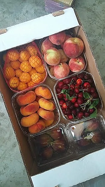 הדיאטה של רחלי