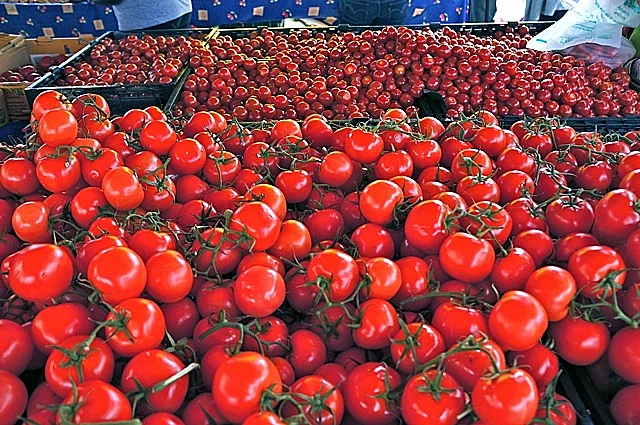 עגבניות אדומות