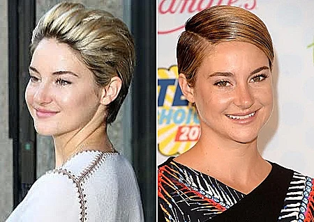 שילין וודלי