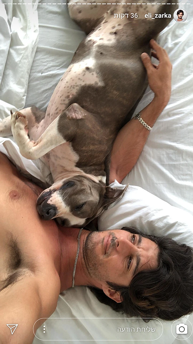 מתאחד עם הכלבה