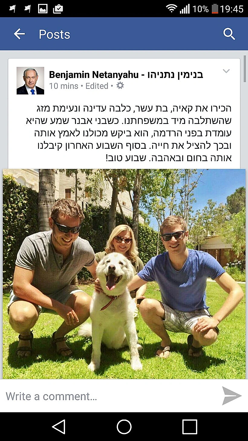 ביבי נתניהו