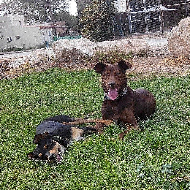 מקס. אני וזואי