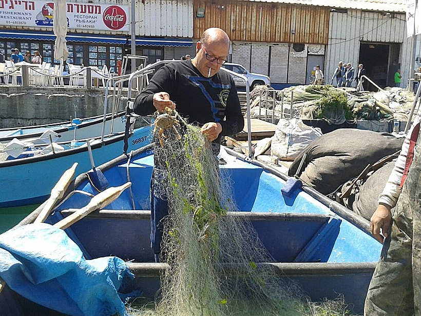 מוטי סטרוקובסקי בעל המסעדה בנמל הדייגים ביפו