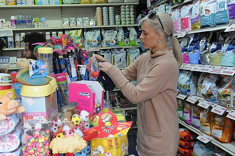 לי לוי