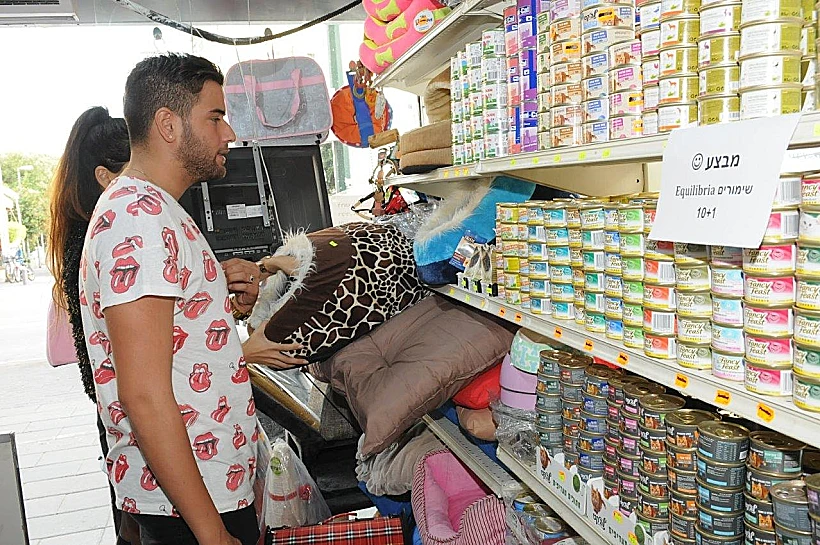 טום קשתי בחנות חיות