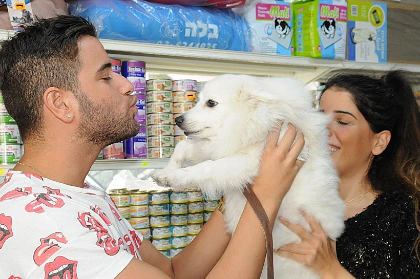טום קשתי בחנות חיות