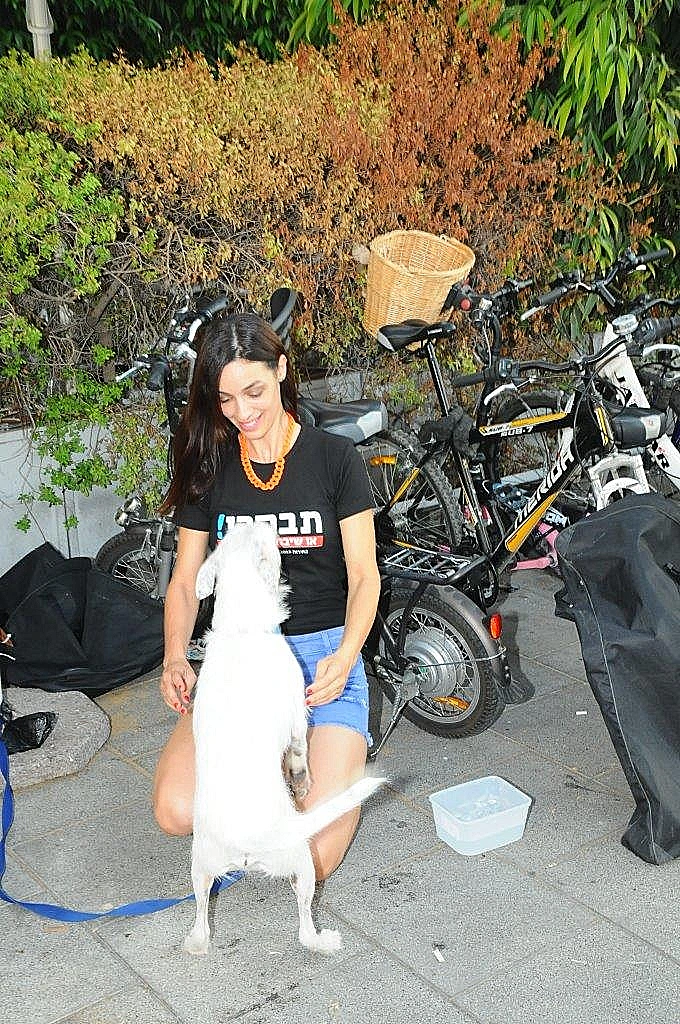 טליה גורודס