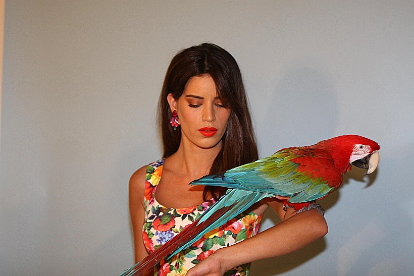 נטלי דדון לטרנדי