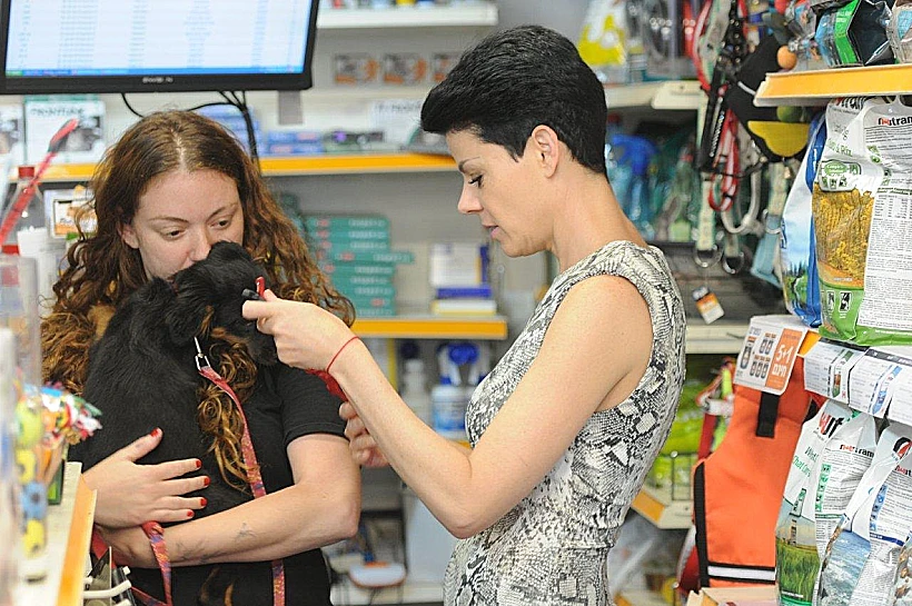 קניות בפטביי