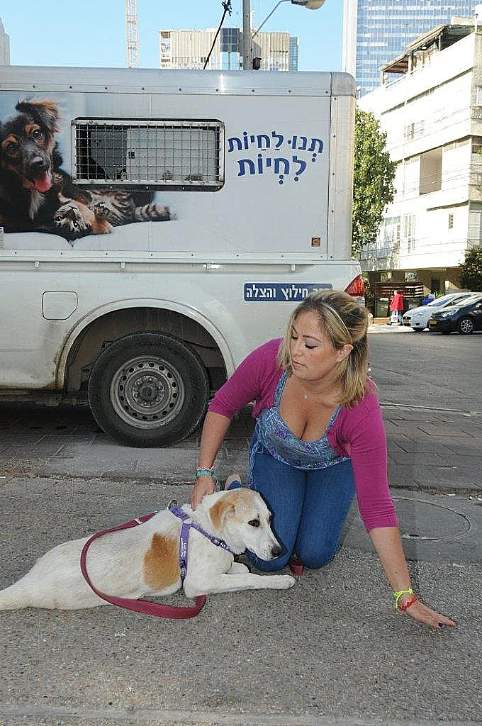 אירוע תנו לחיות לחיות