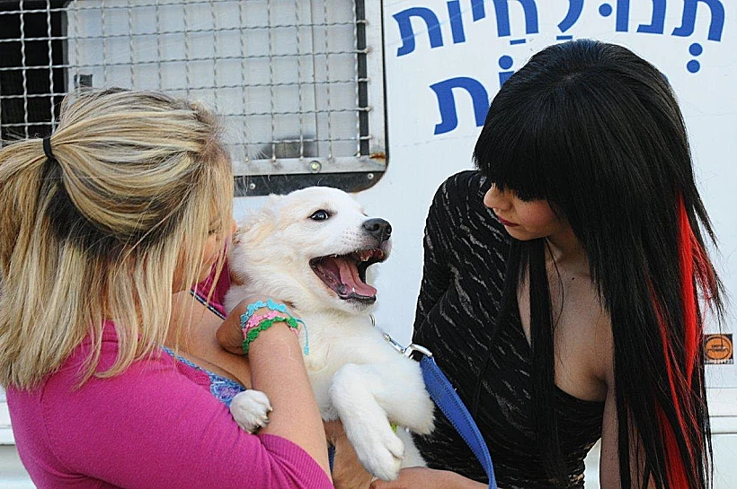 אירוע תנו לחיות לחיות