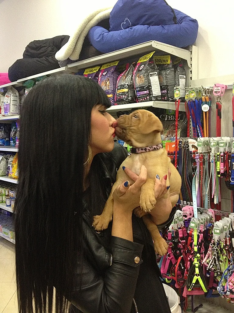 דלית זריהן חנות בעלי חיים