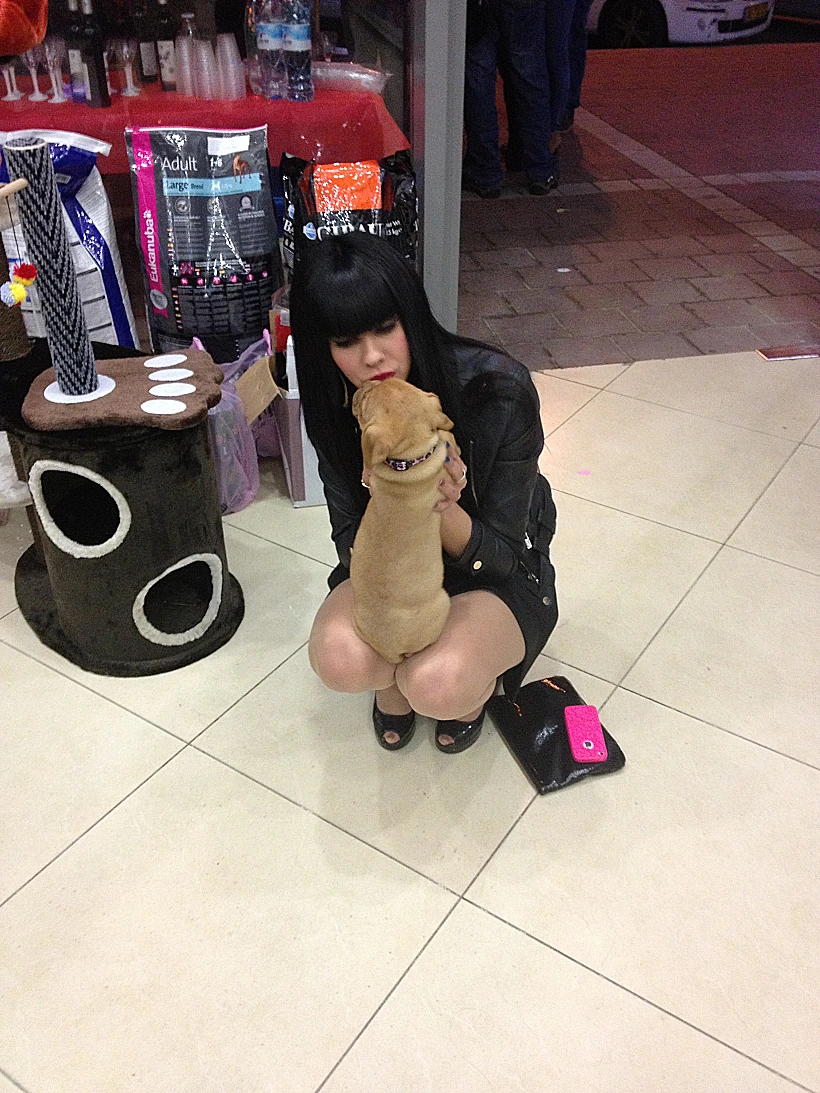 דלית זריהן חנות בעלי חיים