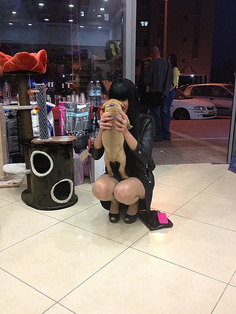 דלית זריהן חנות בעלי חיים