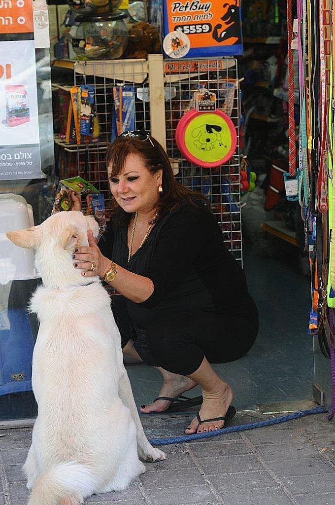 חנה לסלאו פט ביי