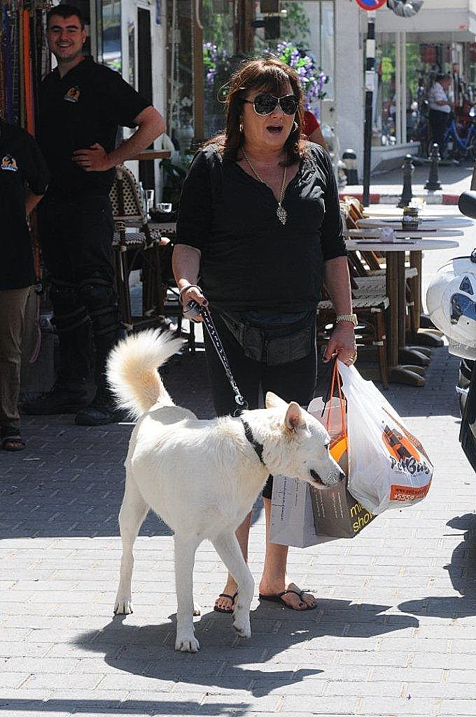 חנה לסלאו פט ביי