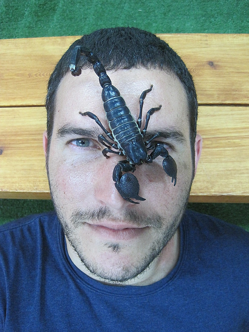 ערן טרטאקובסקי פוגש זוחלים
