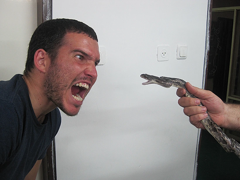 ערן טרטאקובסקי פוגש זוחלים