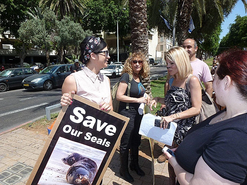 עצרת מחאה נגד טבח בכלבי ים בקנדה ונמיביה