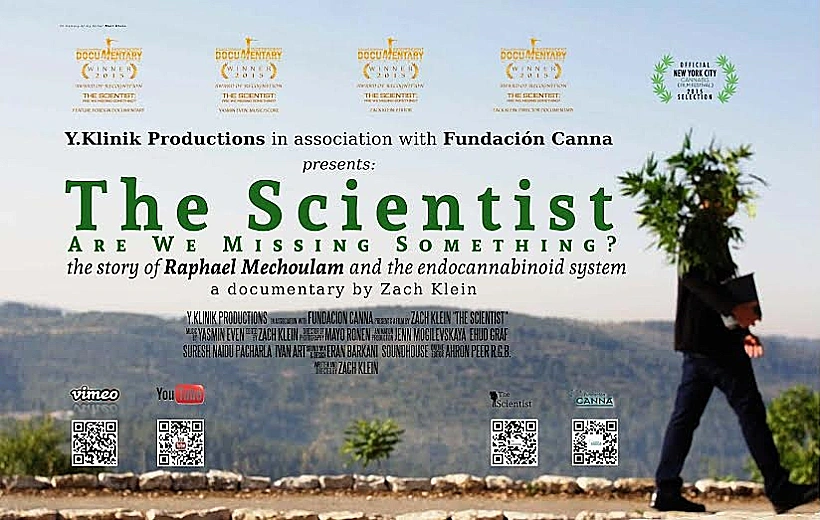 פסטיבל הקנאביס