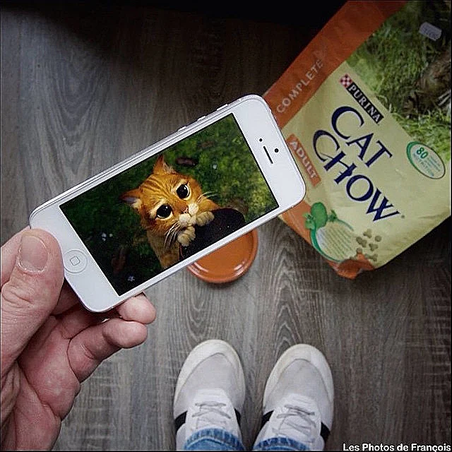 הצלם שמשתמש באייפון בשביל ליצור תמונות חדשות מצחיקות