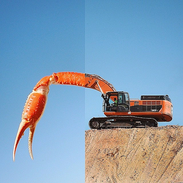 צילומים מצחיקים