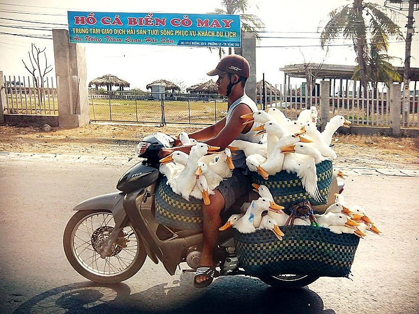 הרכבים העמוסים בעולם