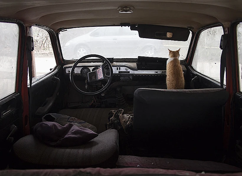 צילומים מרומניה