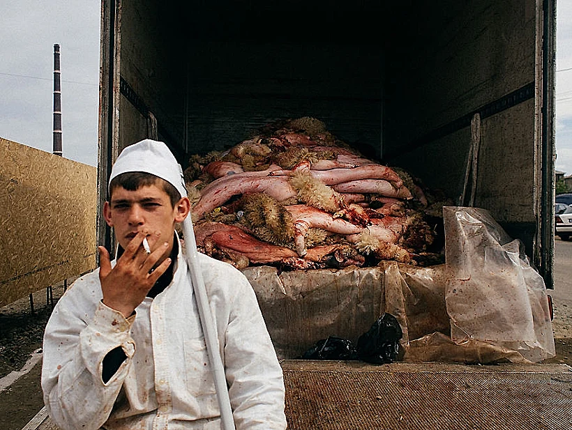 צילומים מרומניה