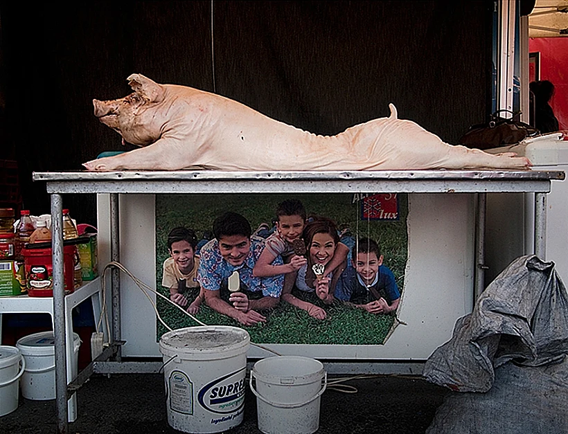 צילומים מרומניה