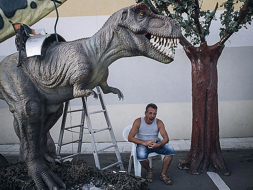 צילומים מרומניה