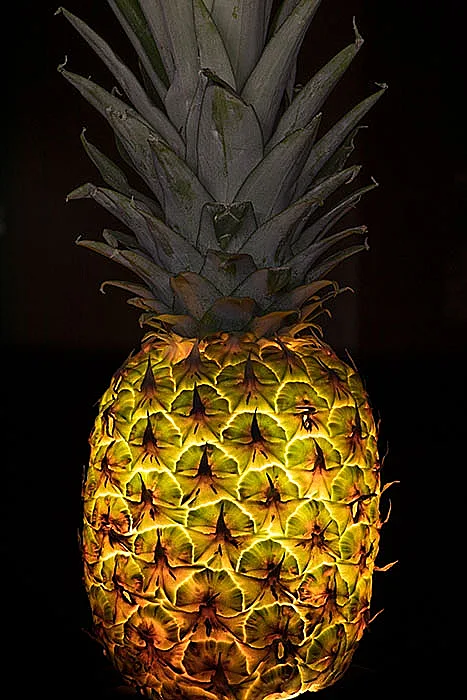 פירות מוארים מבפנים