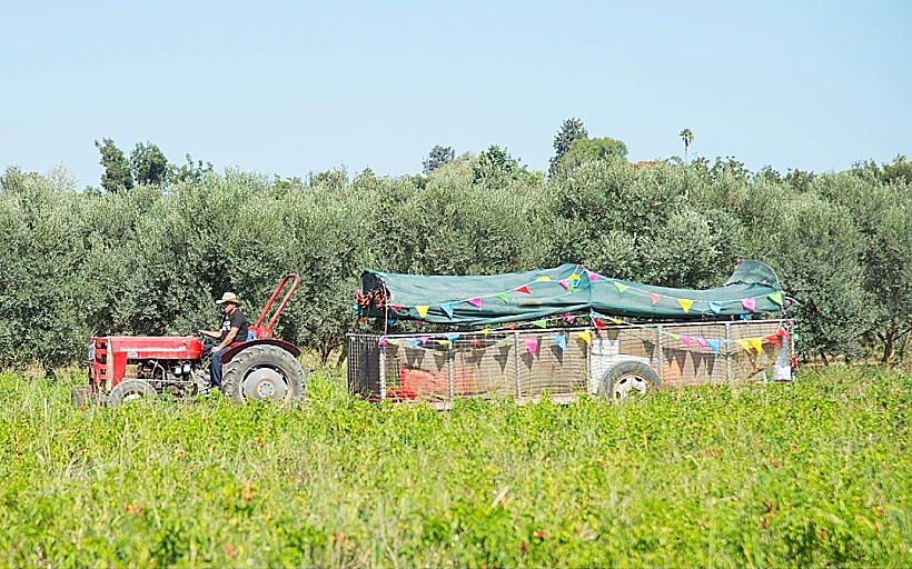אל תפספסו את החצר שמחייבת כוס בירה קרה. פעילות משפחתית בחוות דרך התבלינים