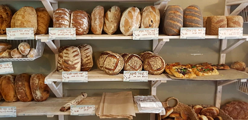 הבחירה לא קלה. שלום עלחם בקיבוץ חולתה