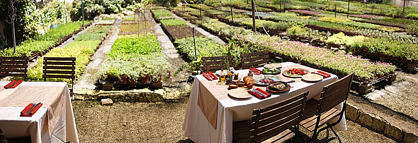 המטבח של רמה