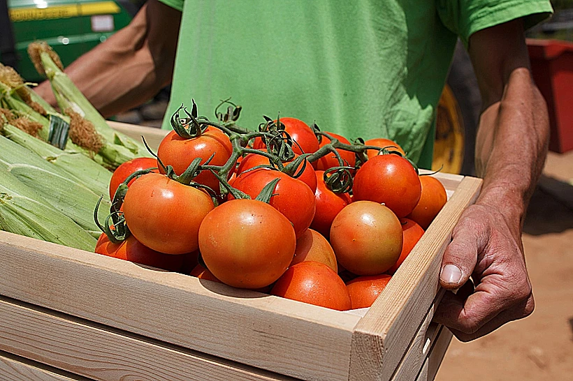GREEN MARKET בשרונה מרקט