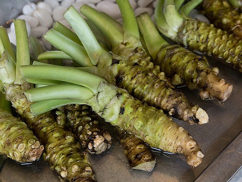 שורש ווסאבי