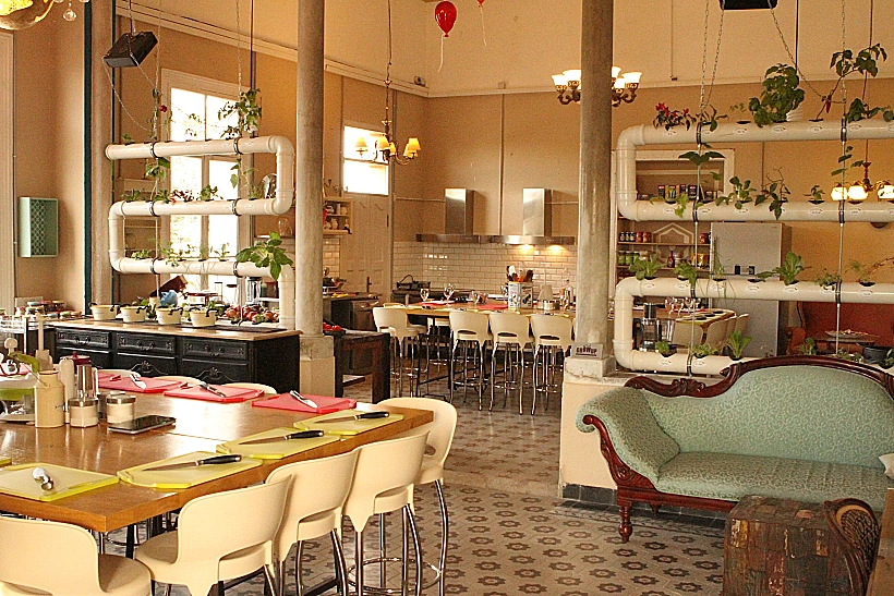 החוויה הטבעונית