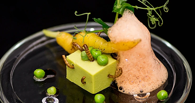 קוביית אפונה ירוקה עם קצף גזר ותולעי-קמח